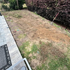 Skip-the-Seeding-Struggle-Choose-Fast-Easy-SOD-Installation-by-Zion-Landscaping-Services 0